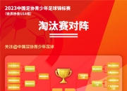 开运体育-关于预测：哪支球队将夺得亚洲足球锦标赛胜利？的信息