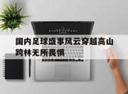 开云体育网站-关于国内足球盛事风云穿越高山跨林无所畏惧的信息