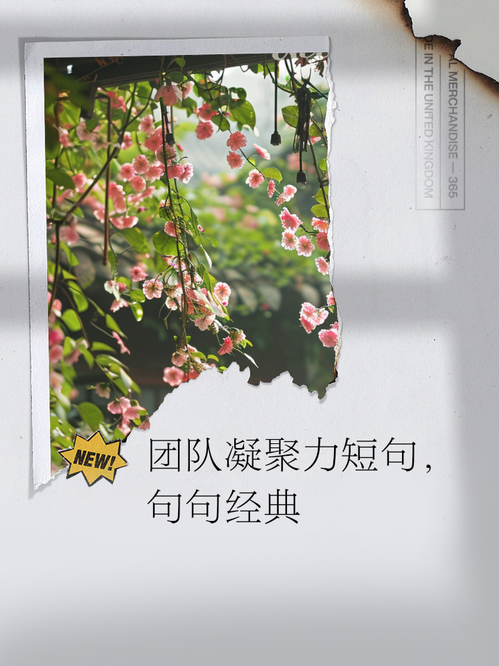 团结一心，球员们共同努力展现出团队的凝聚力的简单介绍