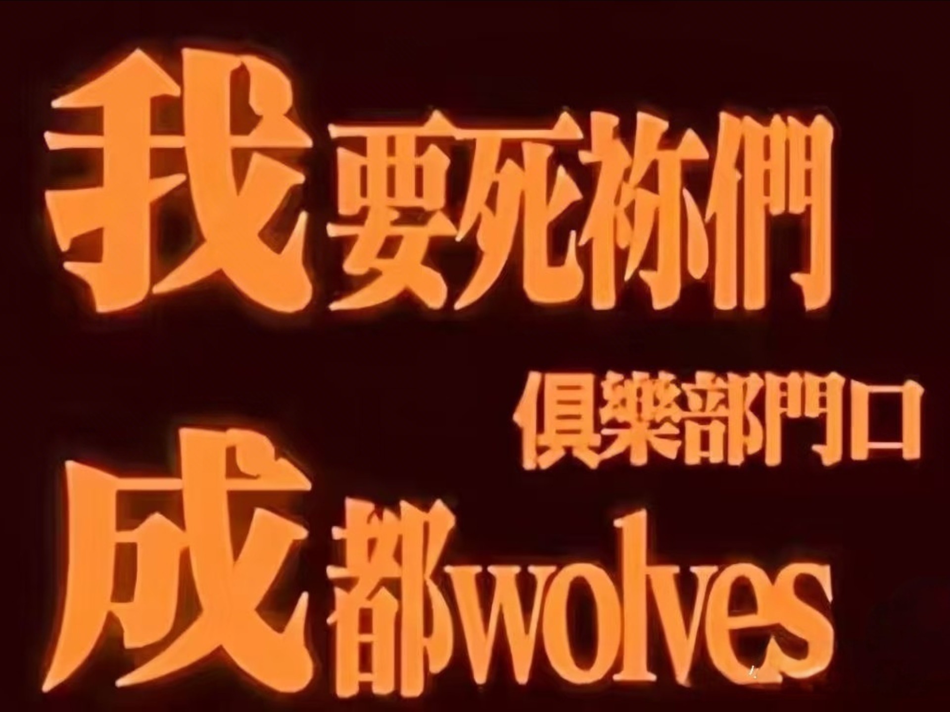 狼队粉丝见道崽现状又骂又心疼，你还看好这位曾经的简单介绍