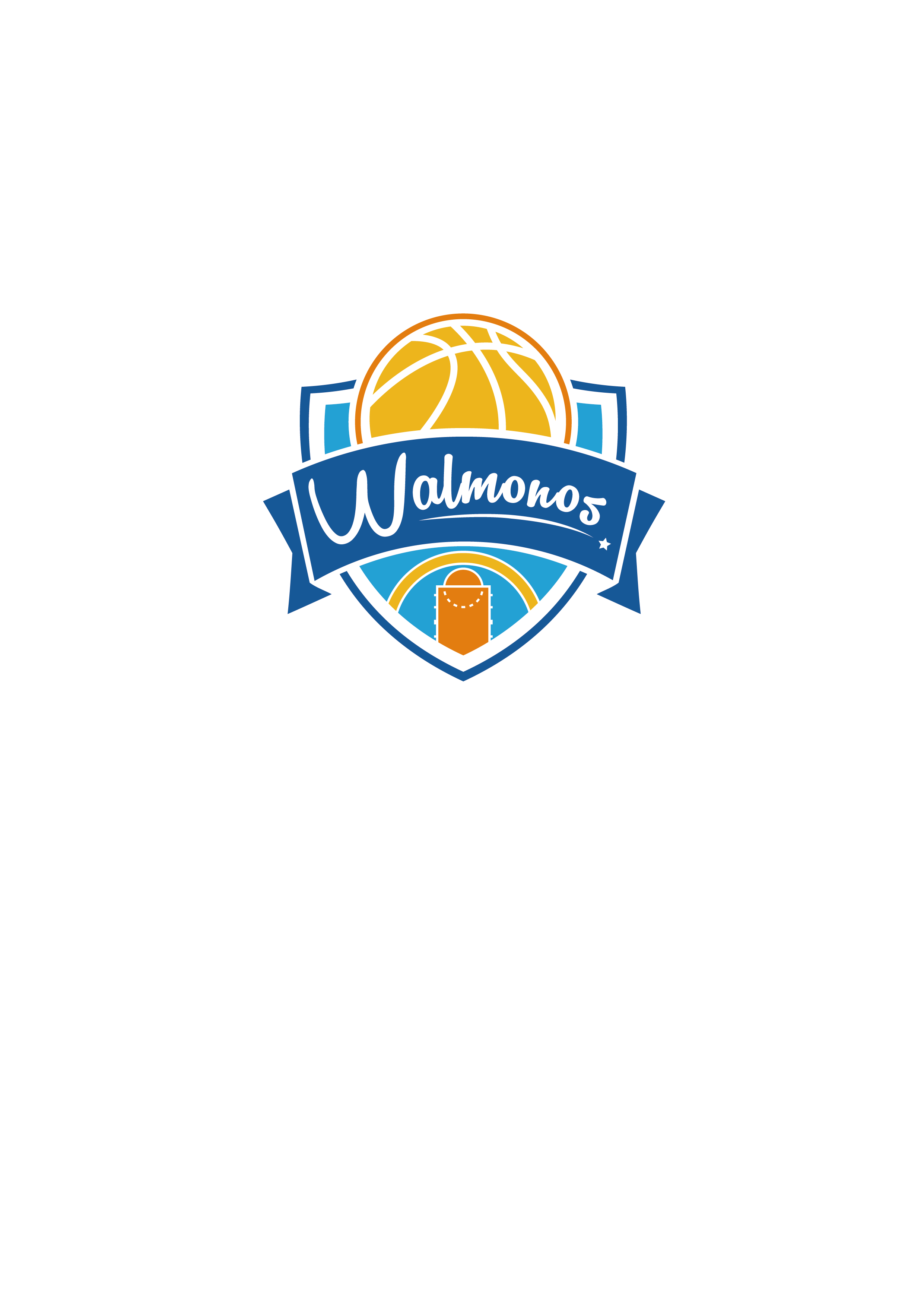 芬兰篮球青少年训练营火热报名中(2024中国小篮球训练营西北大区)